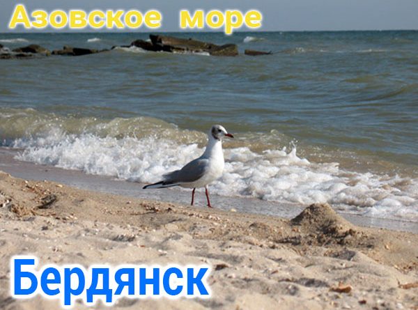 Отдых в Бердянске